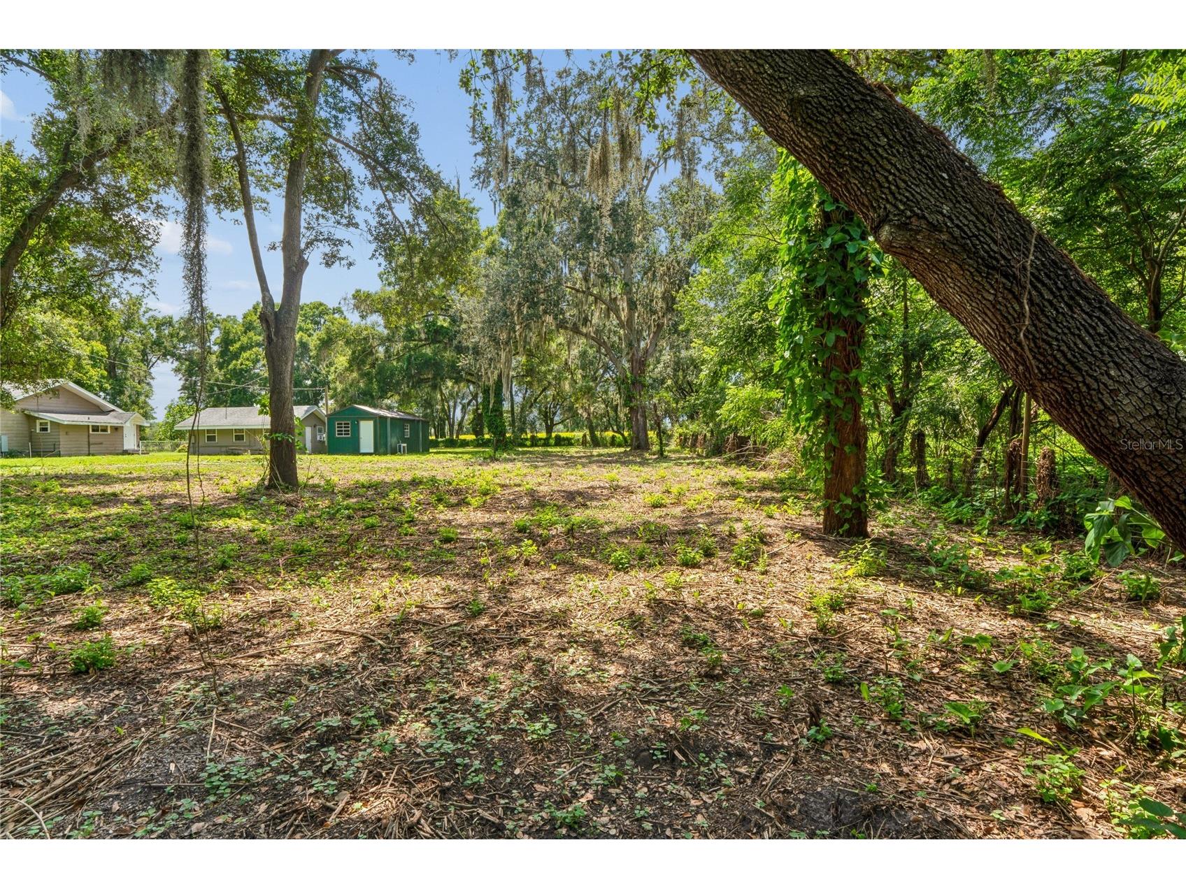 6202 Stafford Road Plant City FL 33565 TB8524956 image45