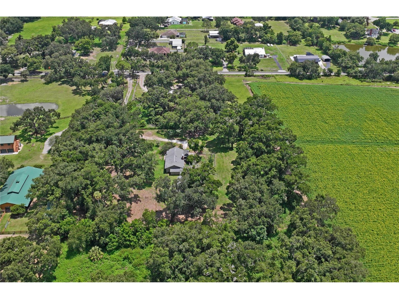 6202 Stafford Road Plant City FL 33565 TB8524956 image72