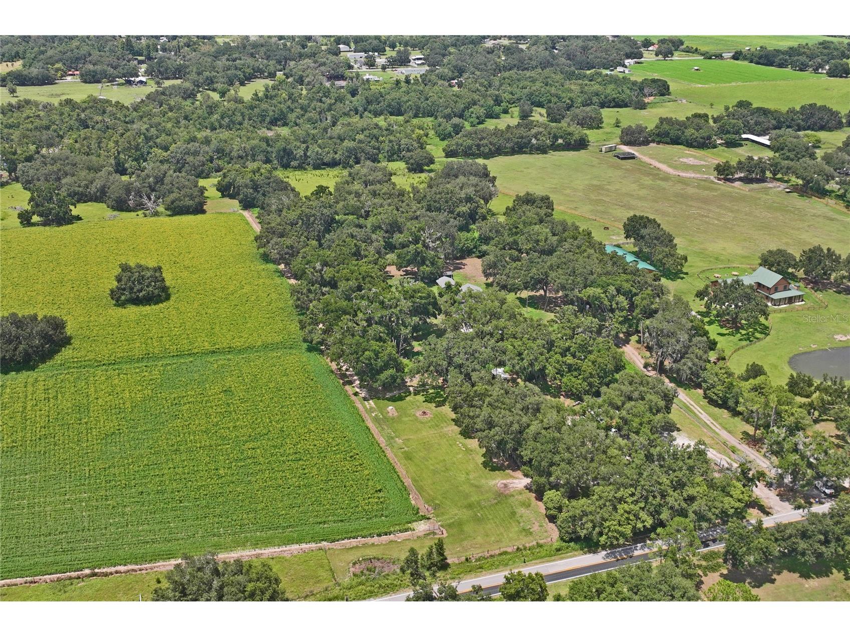 6202 Stafford Road Plant City FL 33565 TB8524956 image74