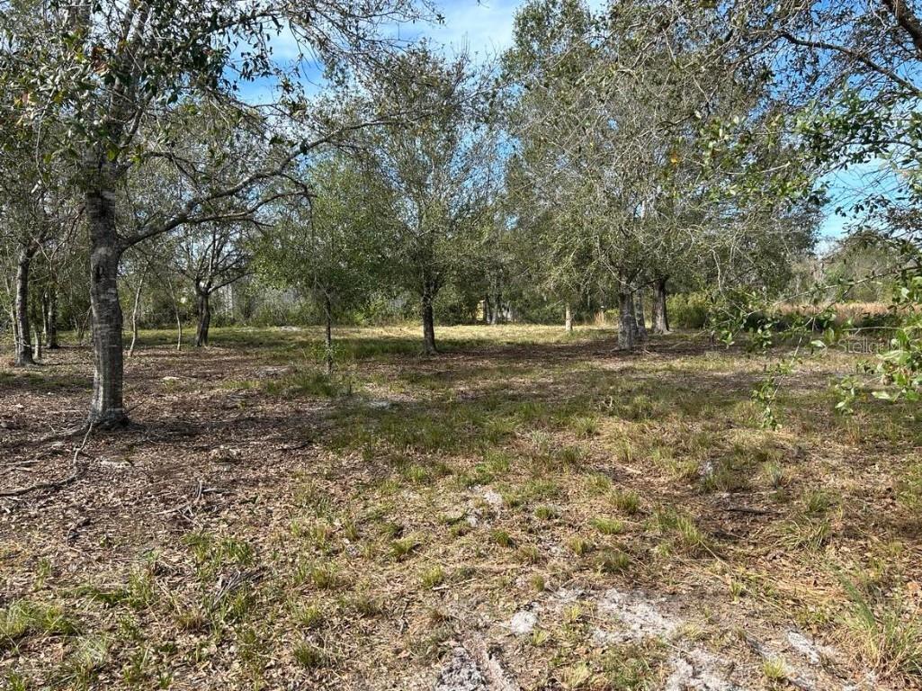 6203 Acorn Boulevard Punta Gorda FL 33982 C7484956 image1