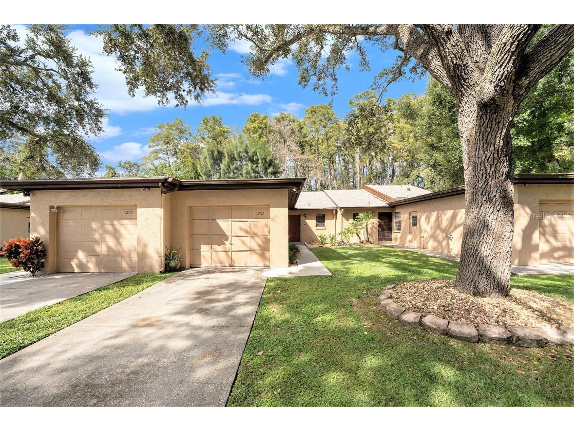 6203 Amaretto Lane #6205 Tampa FL 33634 TB8435650 image20