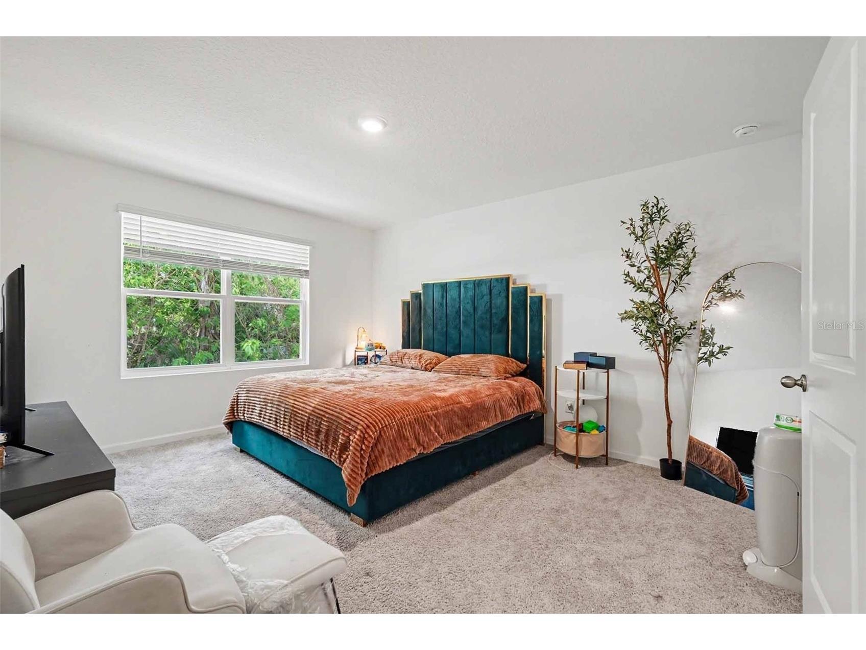 6203 Daerr Ridge Street Zephyrhills FL 33542 TB8494188 image19