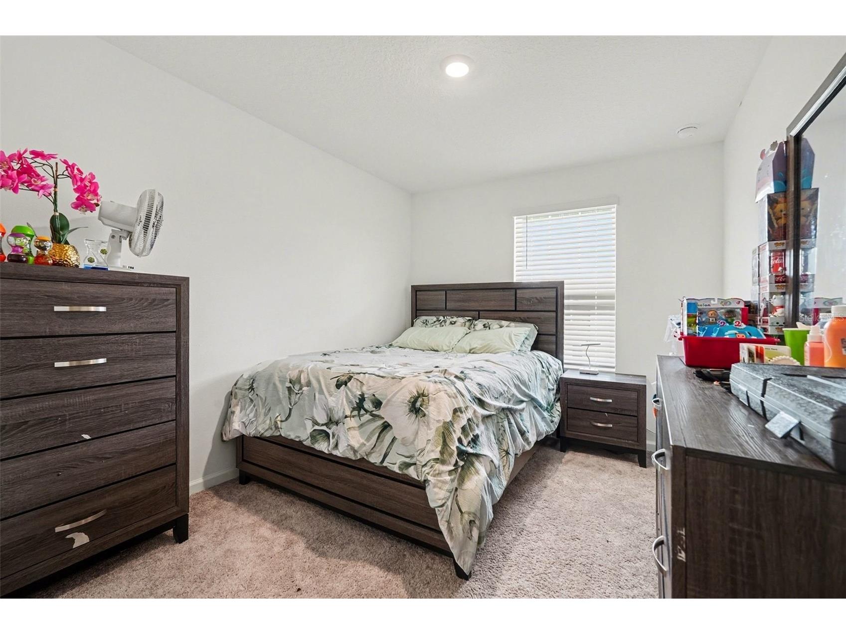 6203 Daerr Ridge Street Zephyrhills FL 33542 TB8494188 image20