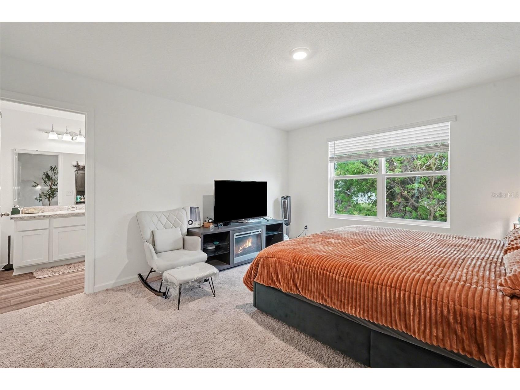 6203 Daerr Ridge Street Zephyrhills FL 33542 TB8494188 image22