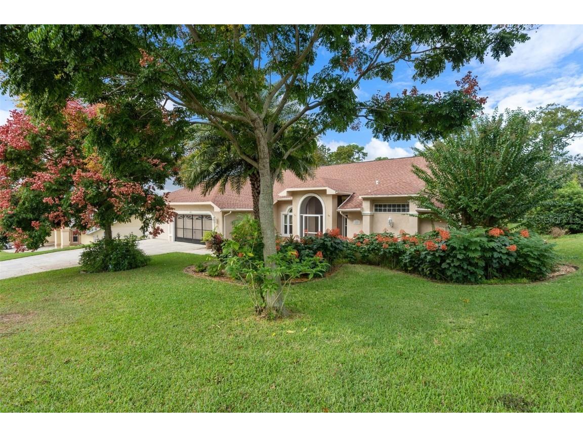 6203 Krista Drive Spring Hill FL 34609 W7858852 image1