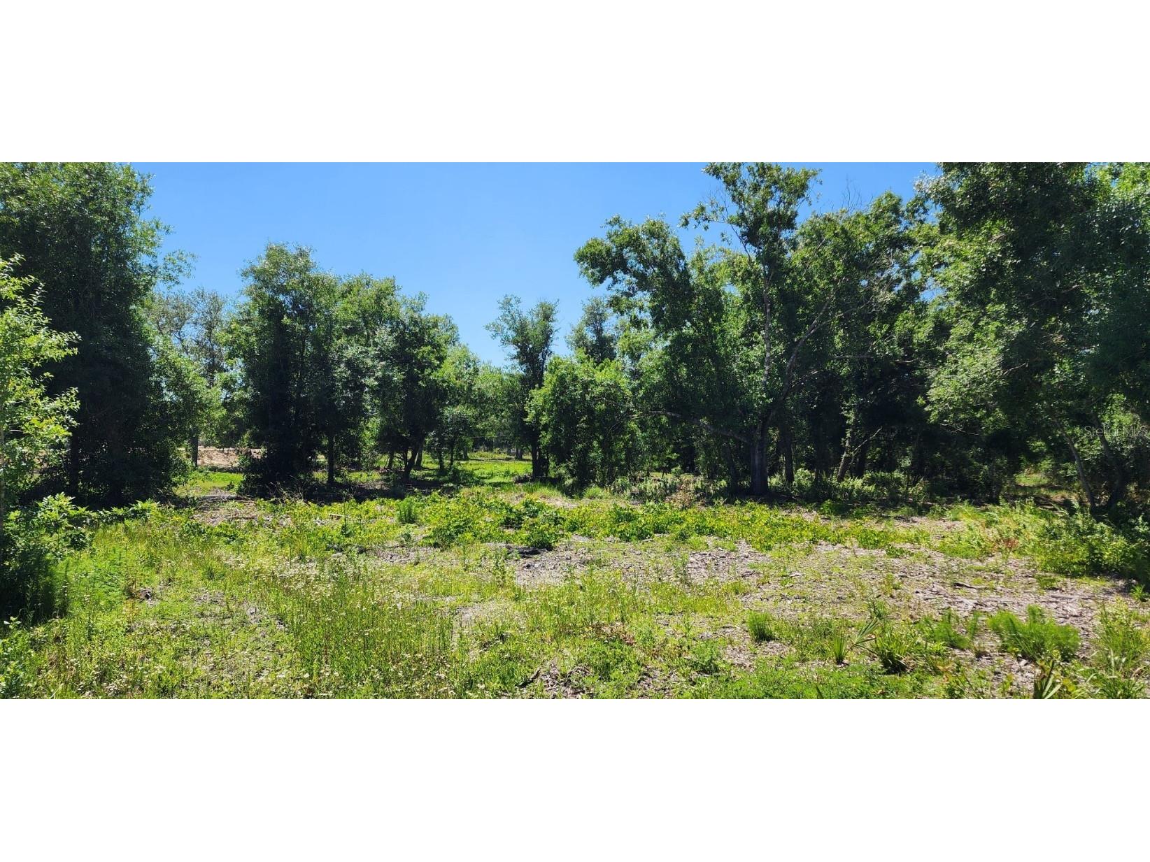 6203 Sweden Boulevard Punta Gorda FL 33982 C7490919 image1