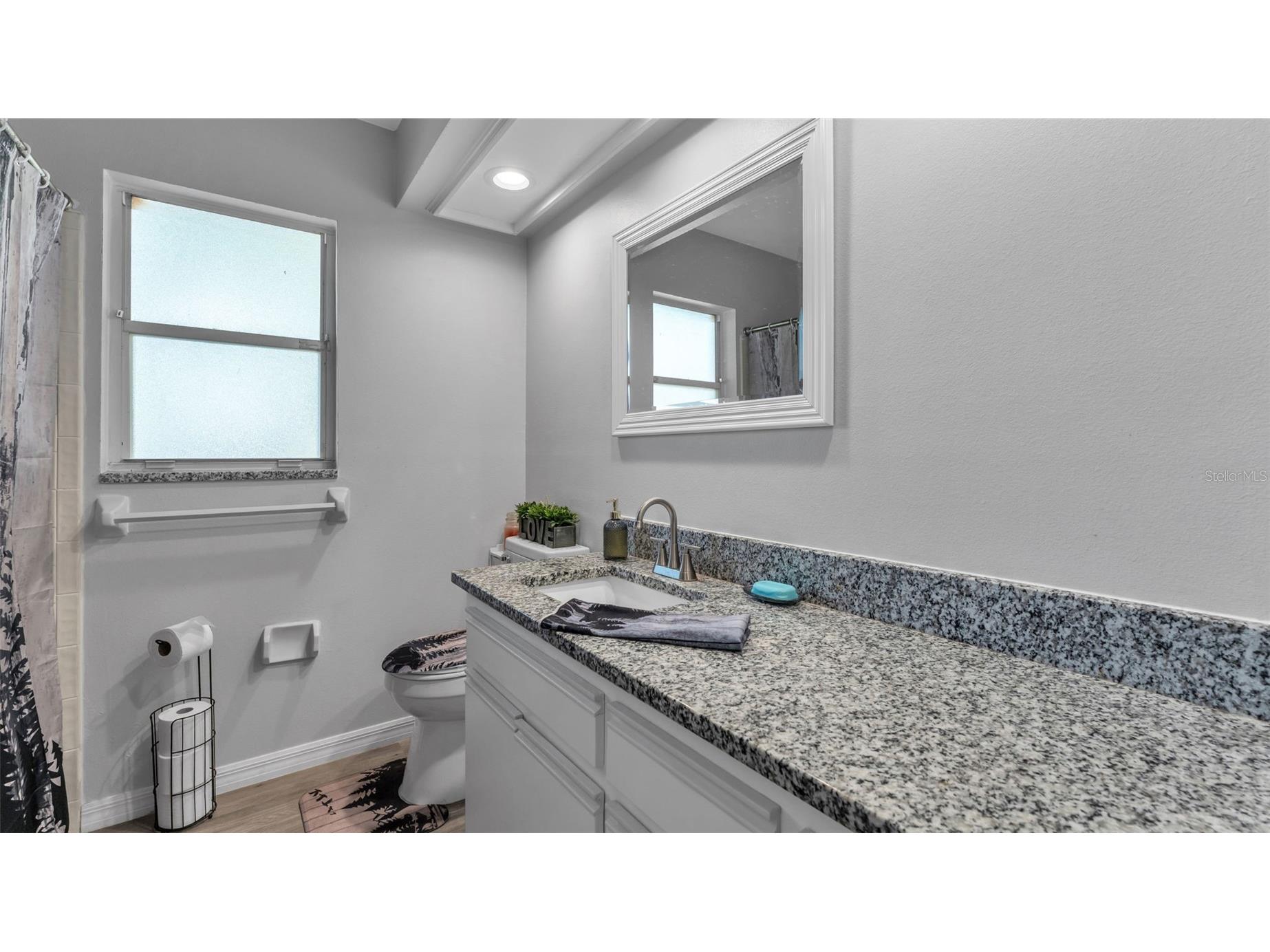 6203 Vintner Lane Lakeland FL 33809 L4962176 image13