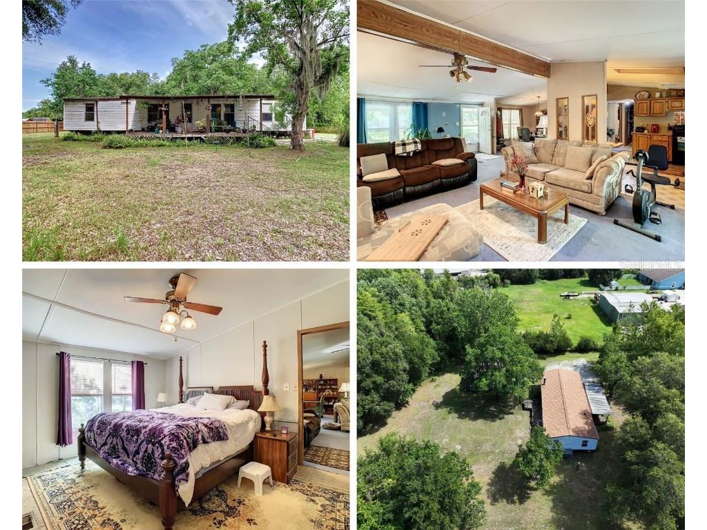 6203 Wendell Drive Wesley Chapel FL 33544 U8204226 image1