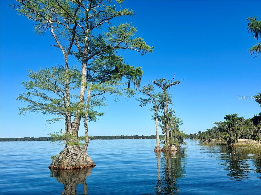 6203 West Boulevard Melrose FL 32666 GC529997 image39