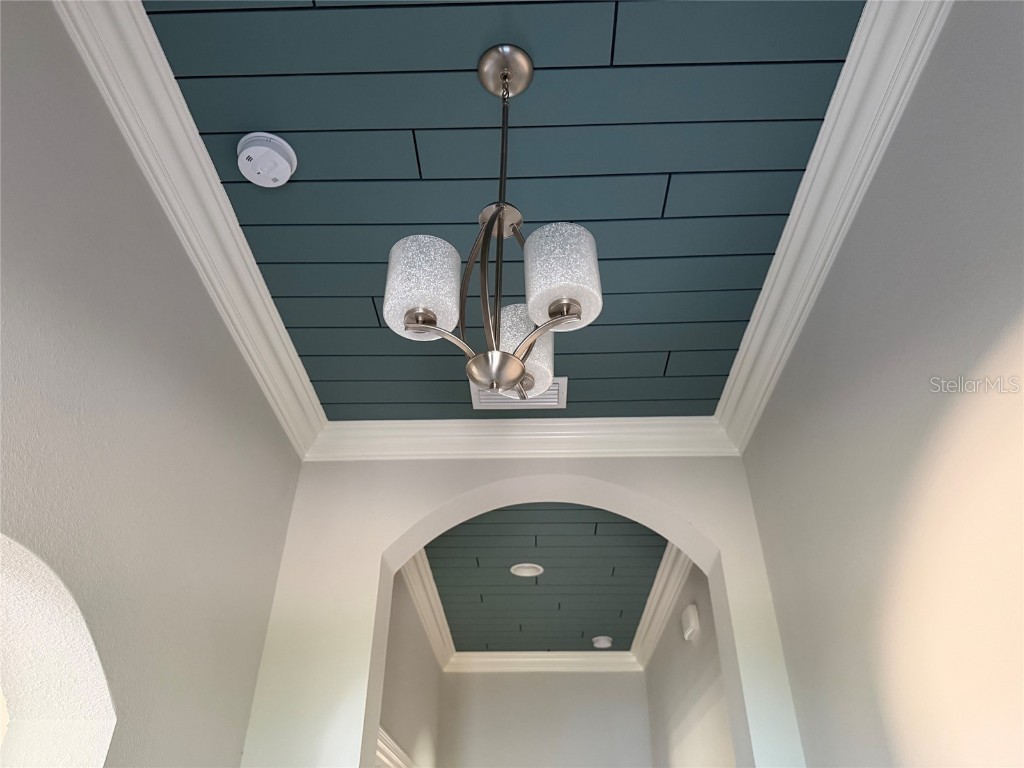 6204 Colmar Place Apollo Beach FL 33572 TB8453969 image11