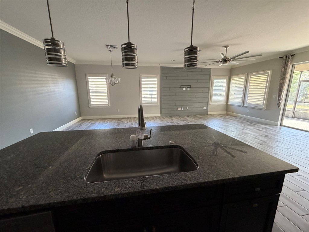 6204 Colmar Place Apollo Beach FL 33572 TB8453969 image22