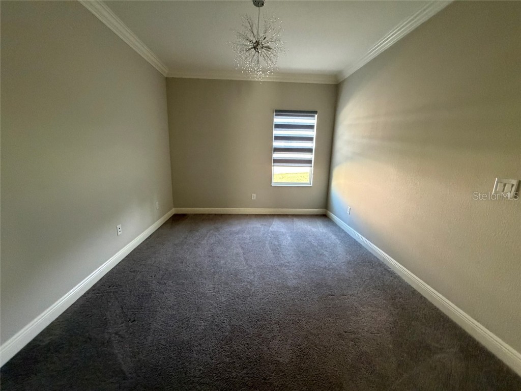 6204 Colmar Place Apollo Beach FL 33572 TB8453969 image27