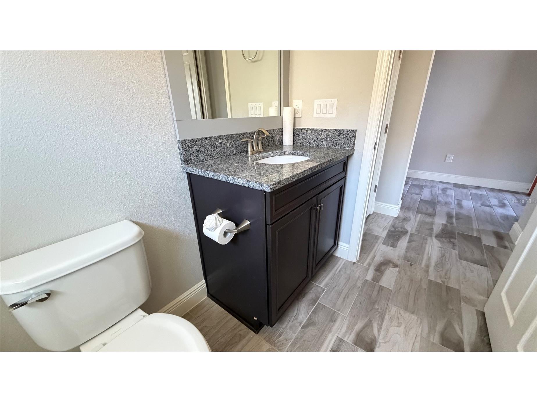 6204 Colmar Place Apollo Beach FL 33572 TB8453969 image52