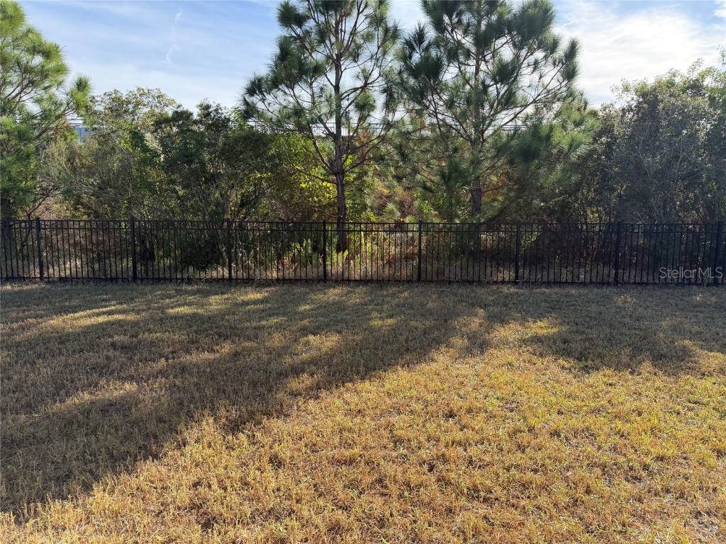 6204 Colmar Place Apollo Beach FL 33572 TB8453969 image9