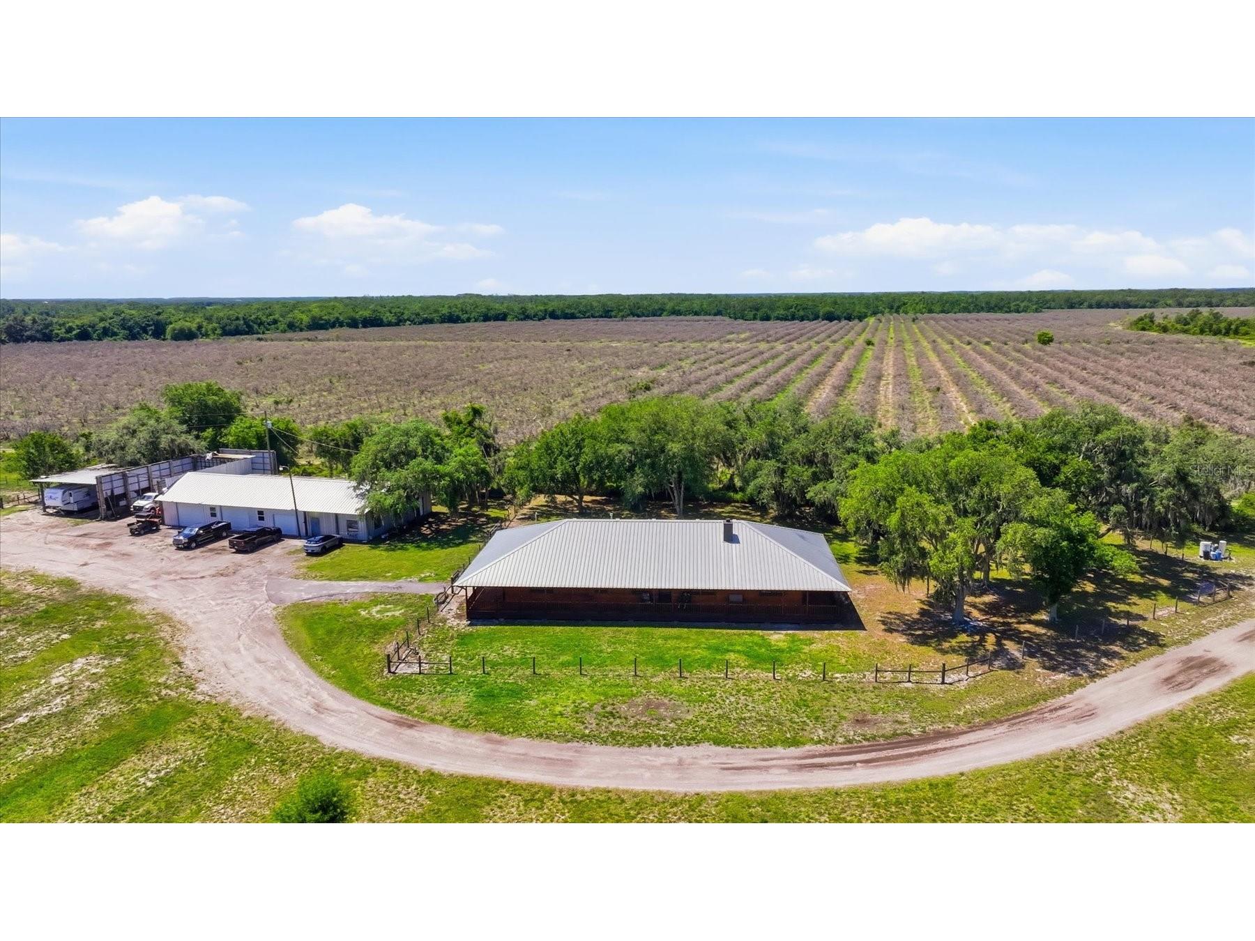 6204 Juel Gill Road Myakka City FL 34251 A4694737 image40