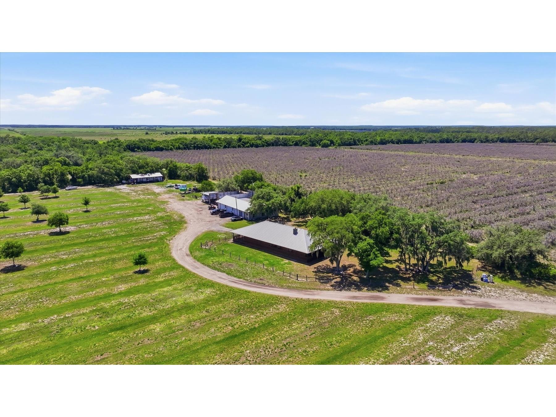 6204 Juel Gill Road Myakka City FL 34251 A4694737 image46