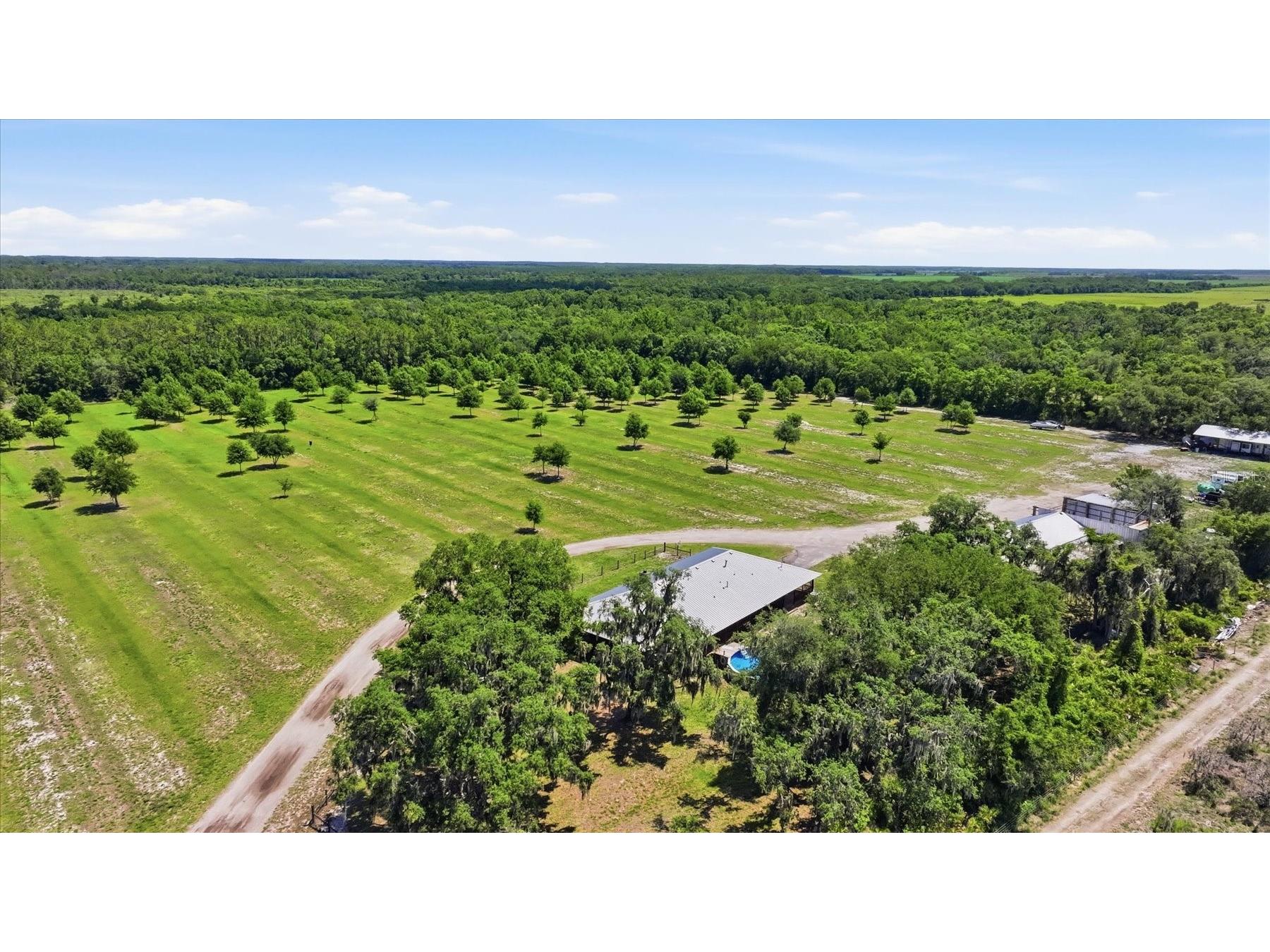6204 Juel Gill Road Myakka City FL 34251 A4694737 image47