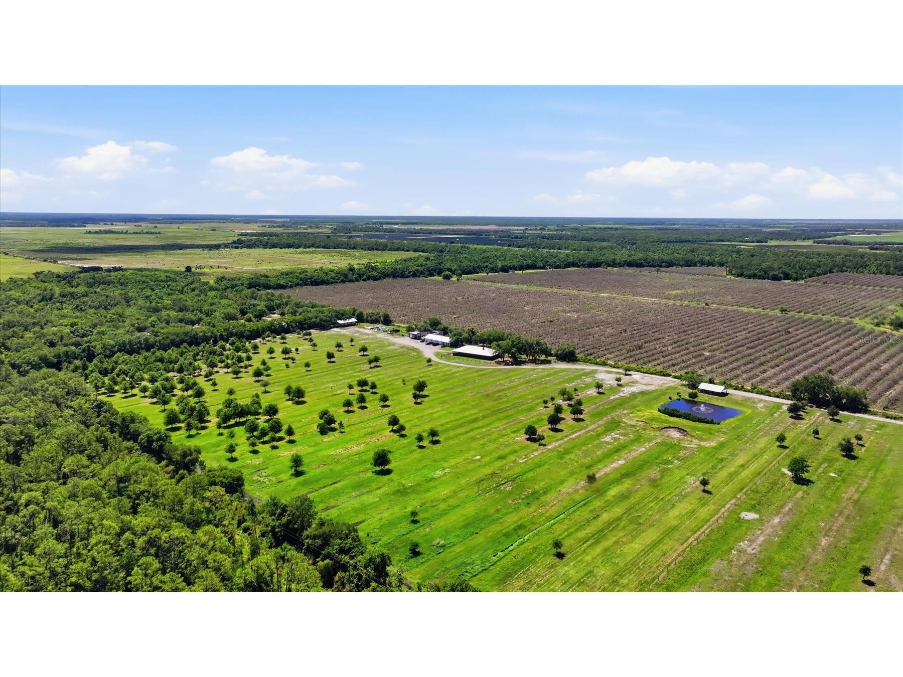 6204 Juel Gill Road Myakka City FL 34251 A4694737 image51