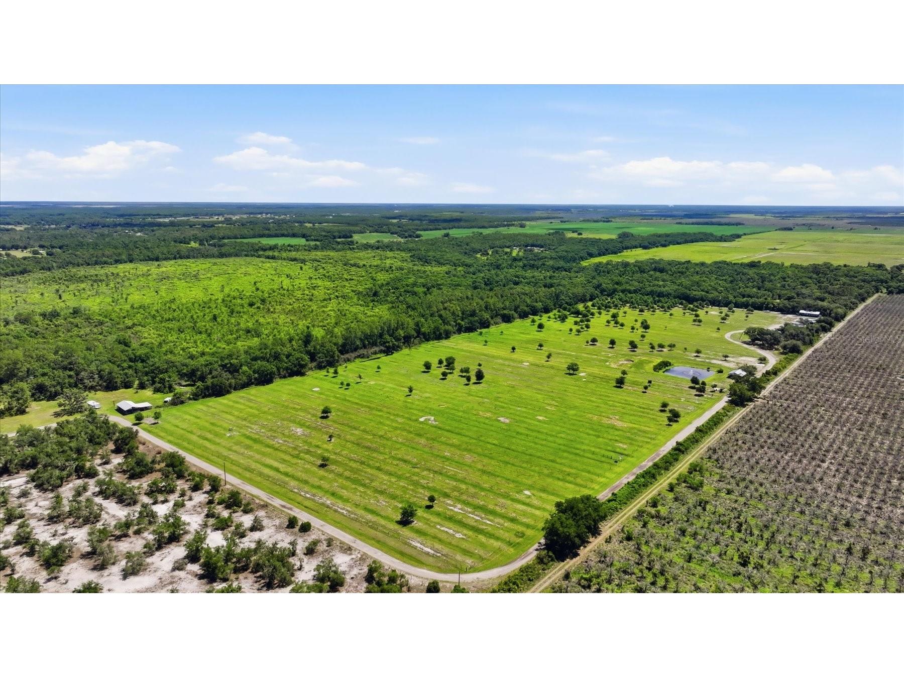 6204 Juel Gill Road Myakka City FL 34251 A4694737 image52