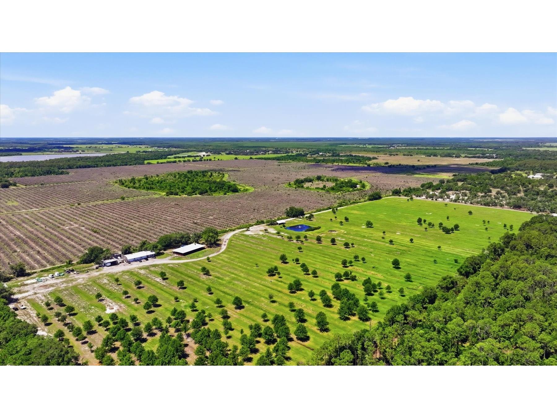 6204 Juel Gill Road Myakka City FL 34251 A4694737 image57