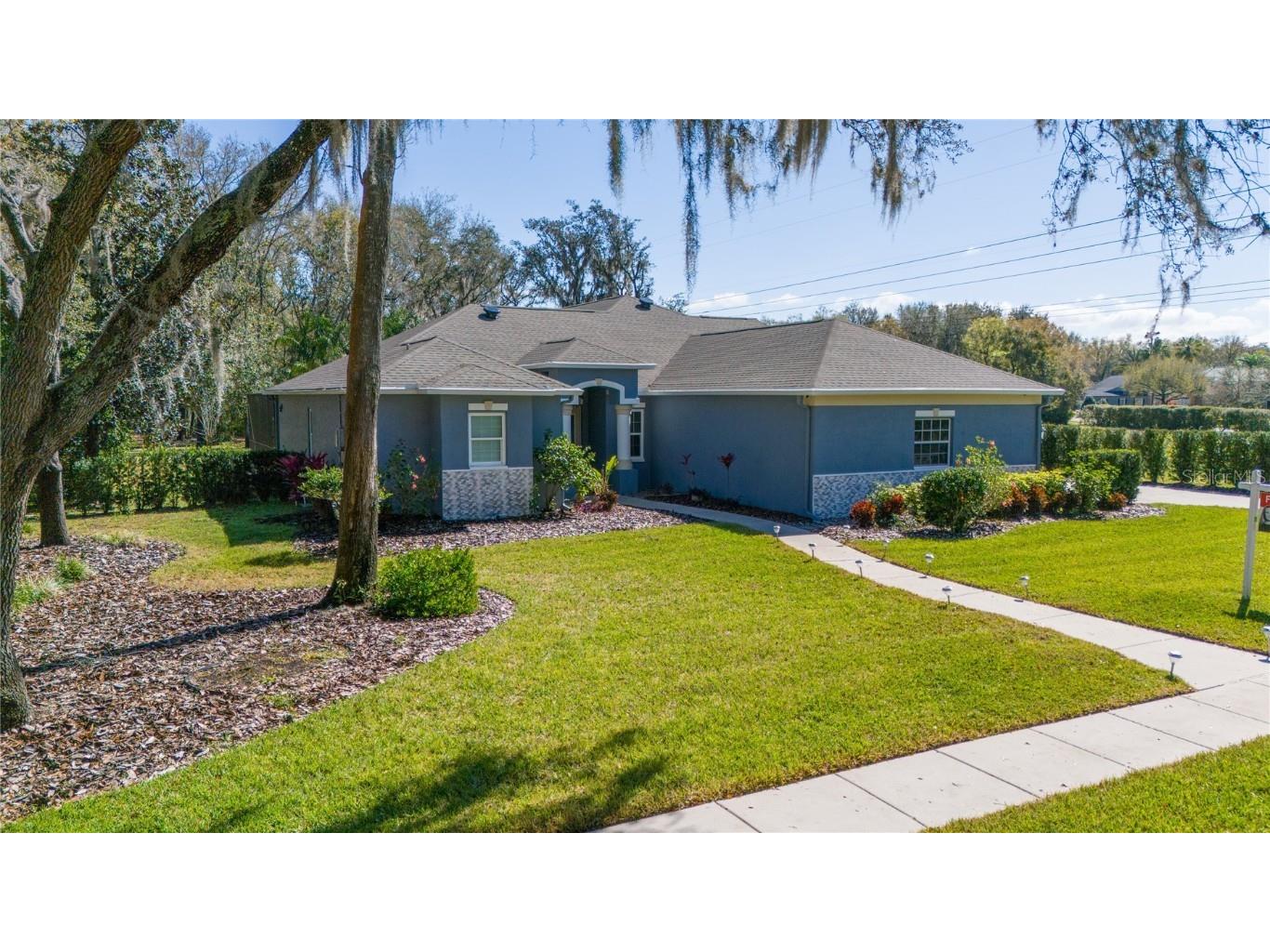 6204 Kingbird Manor Drive Lithia FL 33547 T3468770 image1