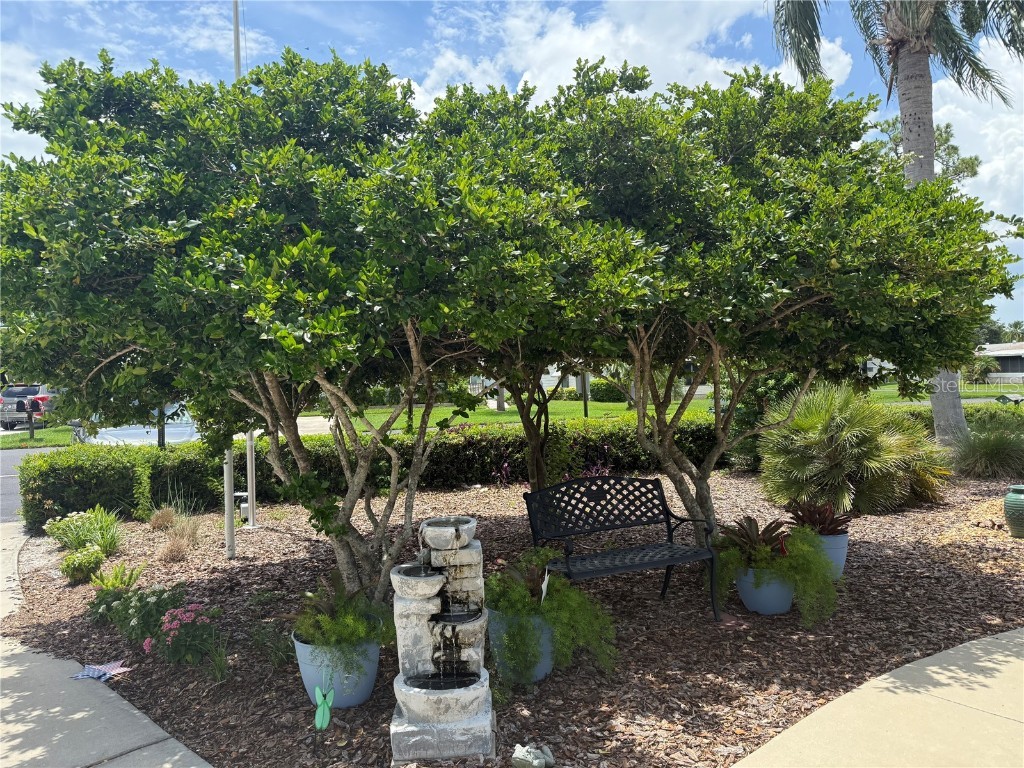 6204 Knotty Pine Drive SE Winter Haven FL 33884 P4935440 image44