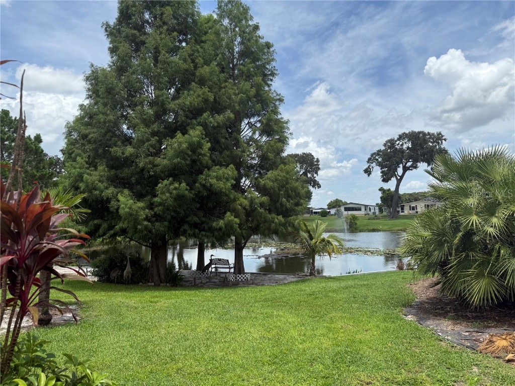 6204 Knotty Pine Drive SE Winter Haven FL 33884 P4935440 image50