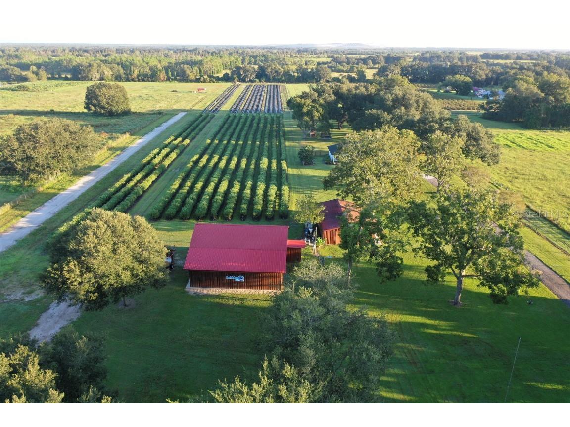 6205 Bethlehem Road Mulberry FL 33860 L4949781 image1