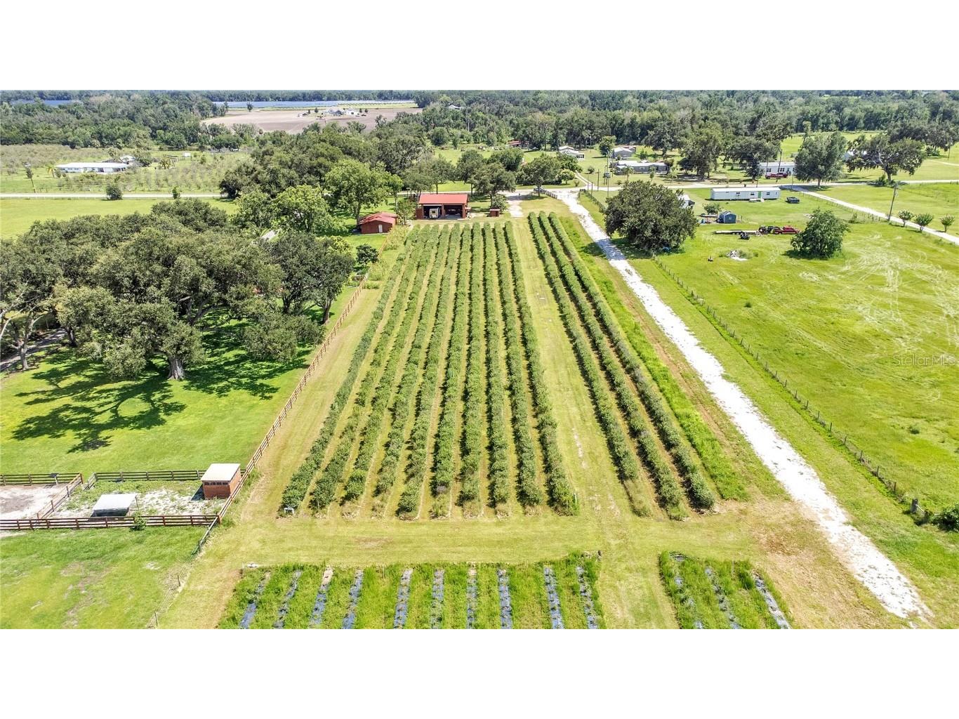 6205 Bethlehem Road Mulberry FL 33860 L4954370 image1