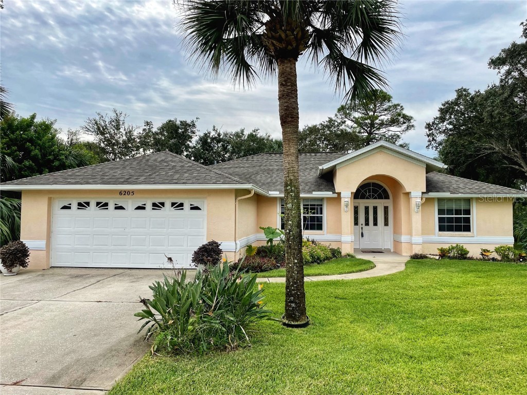 6205 Morning Drive Port Orange FL 32127 V4931906 image1