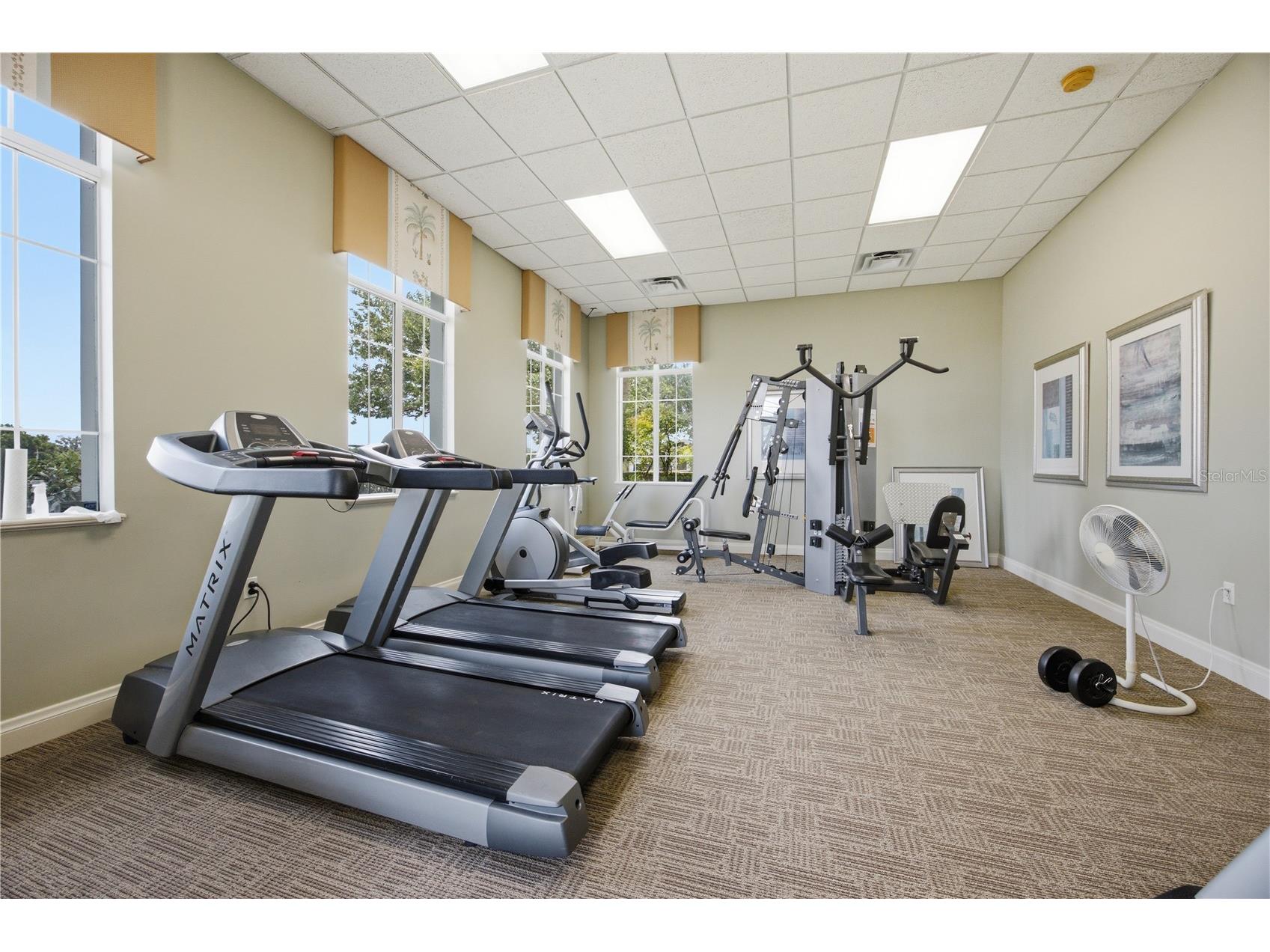 6205 Sanders Grove Circle Okahumpka FL 34762 G5113773 image30