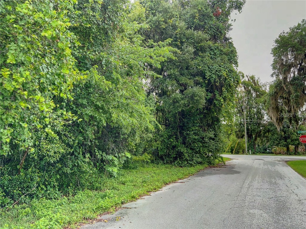 6205 SE Robinson Road Belleview FL 34420 OM658525 image1