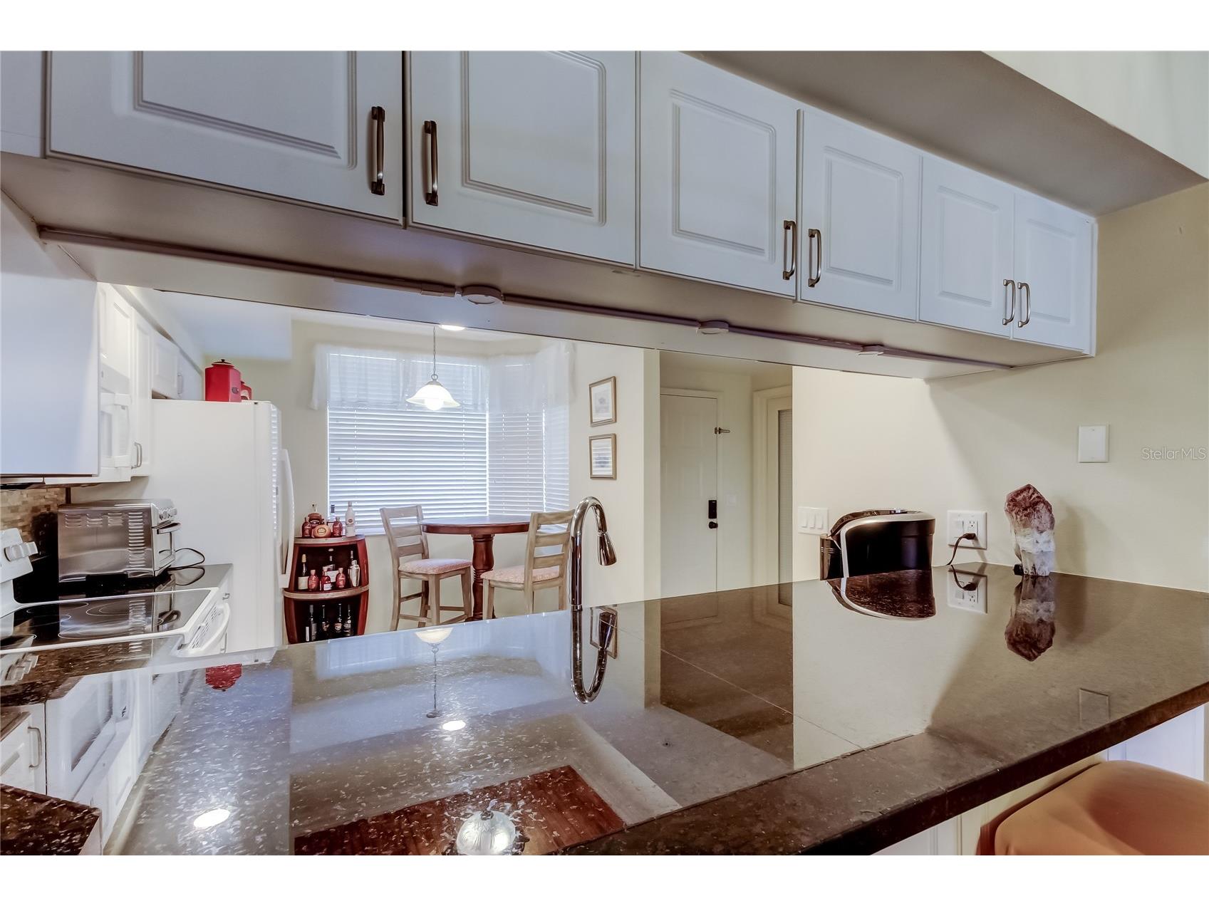 6205 Shoreline Drive #1304 Seminole FL 33708 TB8487440 image8