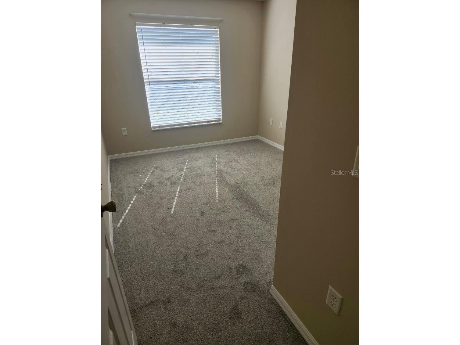6206-6208 Kentucky Avenue New Port Richey FL 34653 TB8469174 image17