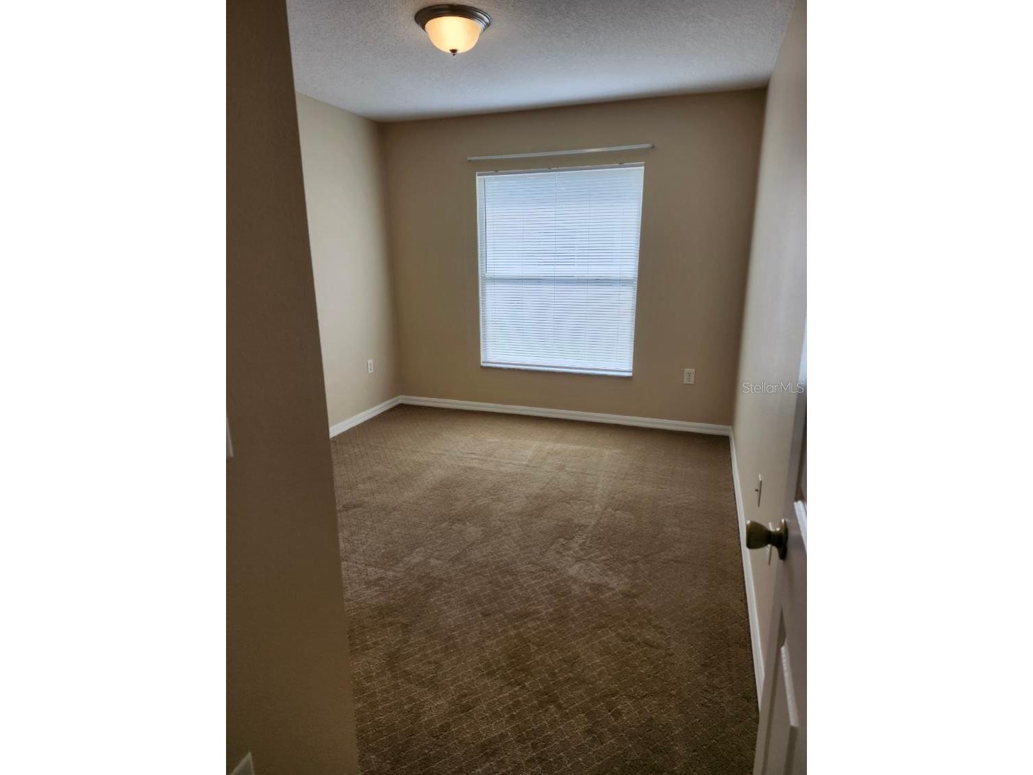 6206-6208 Kentucky Avenue New Port Richey FL 34653 TB8469174 image27