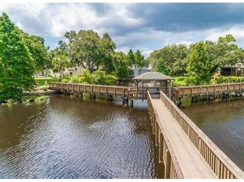 6206 92nd Place N #3605 Pinellas Park FL 33782 TB8396255 image55