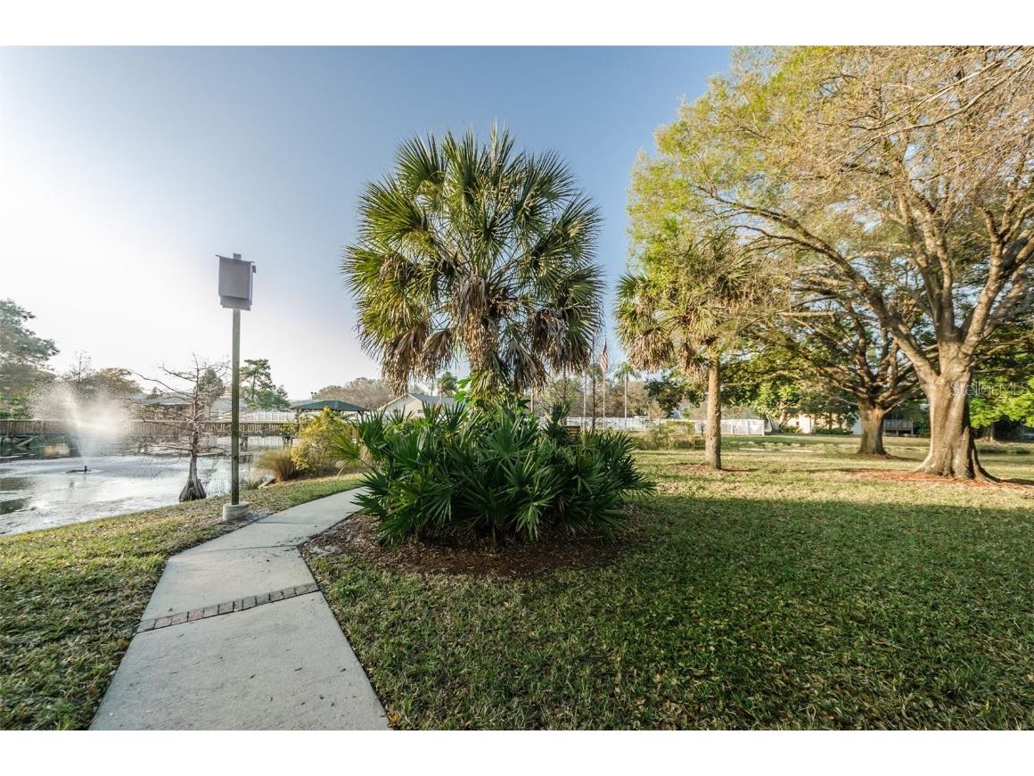 6206 92nd Place N #3605 Pinellas Park FL 33782 TB8396255 image57