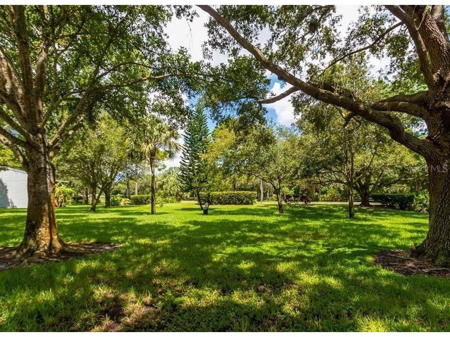 6206 92nd Place N #3605 Pinellas Park FL 33782 TB8396255 image58