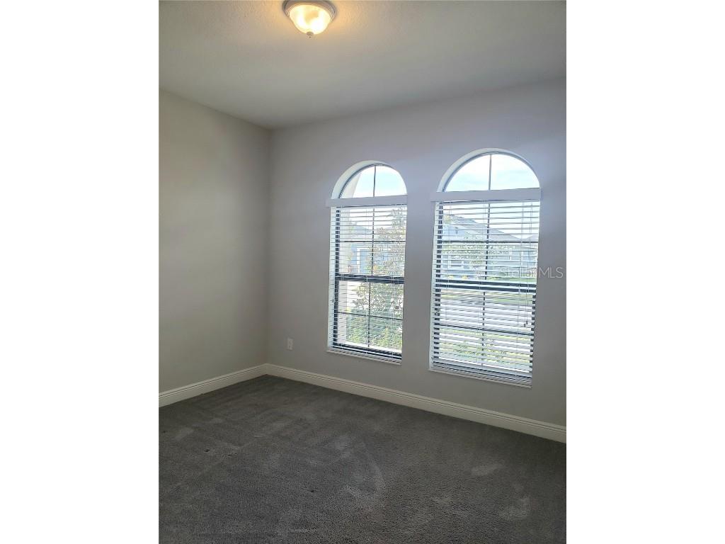 6206 Colmar Place Apollo Beach FL 33572 TB8444681 image15