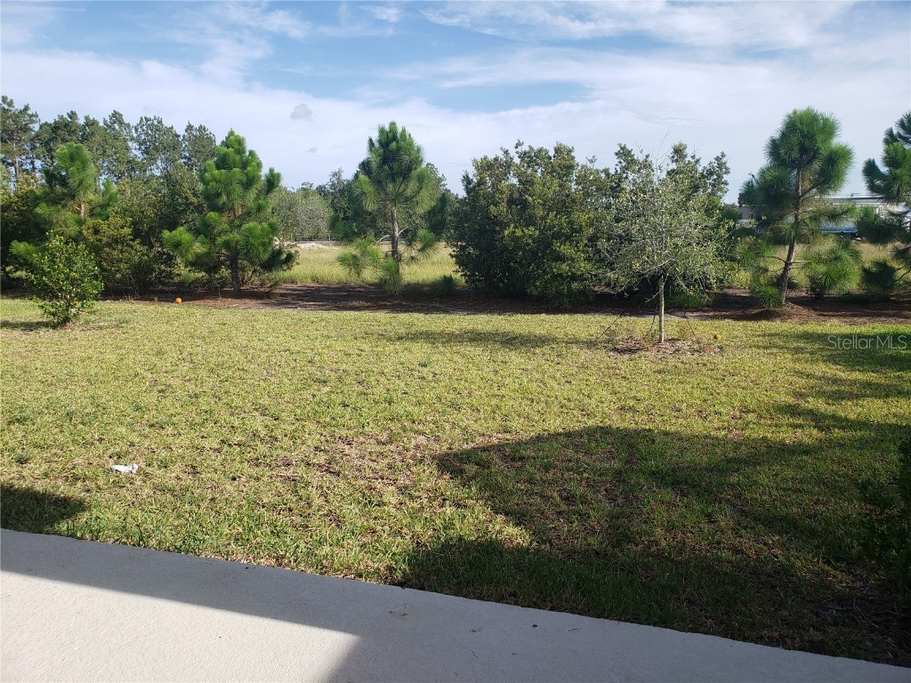 6206 Colmar Place Apollo Beach FL 33572 TB8444681 image26