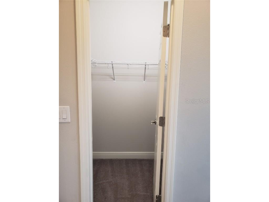 6206 Colmar Place Apollo Beach FL 33572 TB8444681 image8