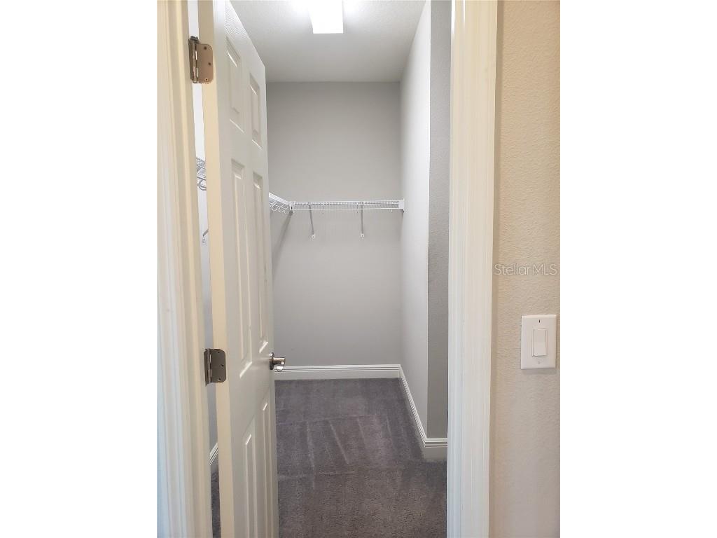 6206 Colmar Place Apollo Beach FL 33572 TB8444681 image9