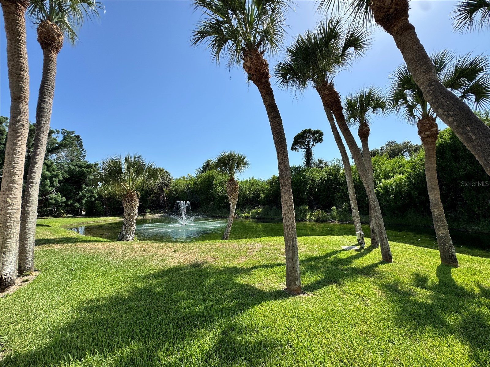 6206 Courtside Drive Bradenton FL 34210 A4699163 image35