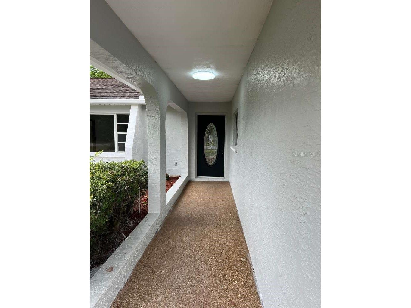 6206 Dorset Road Spring Hill FL 34608 S5149463 image3