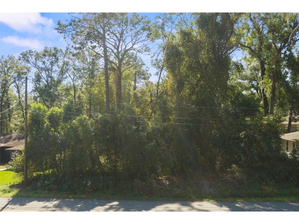 6206 E Slate Street Inverness FL 34452 TB8316810 image1