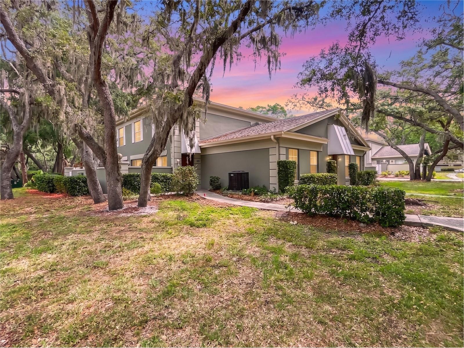 6206 Greenleaf Lane Tampa FL 33617 TB8493234 image1
