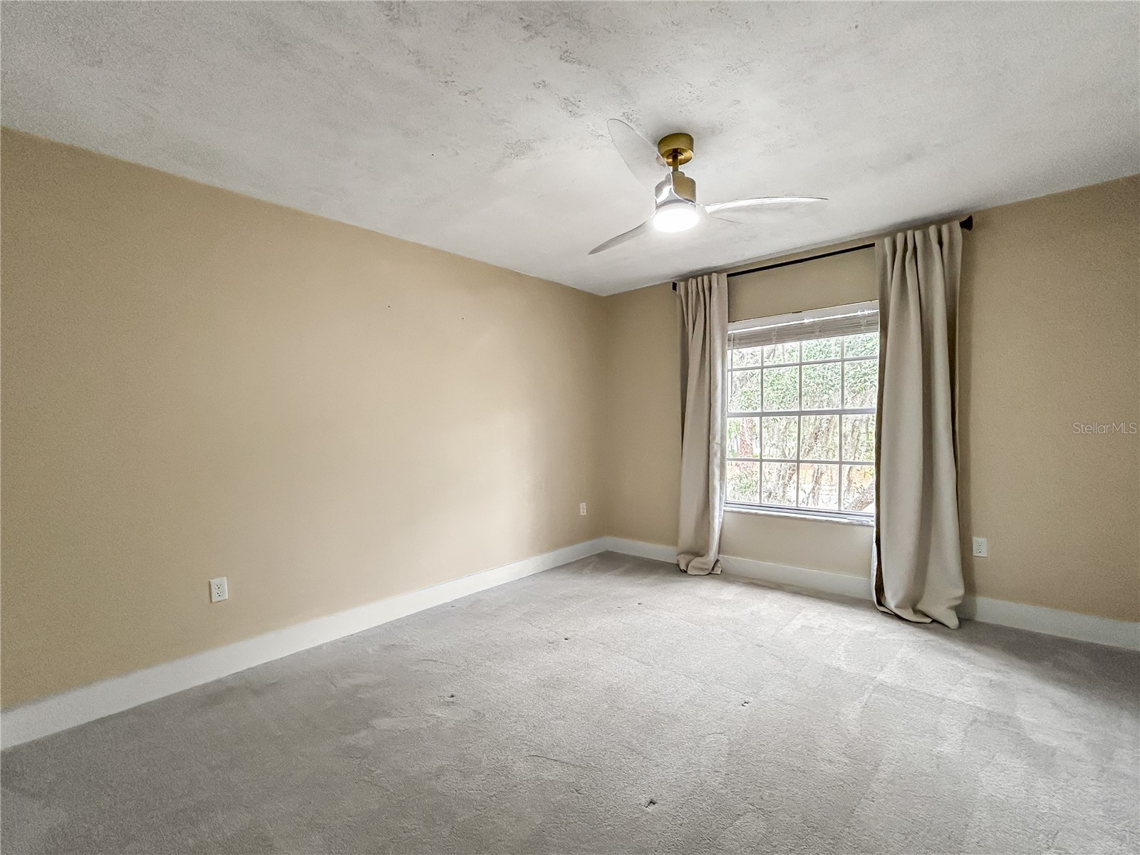 6206 Greenleaf Lane Tampa FL 33617 TB8493234 image13