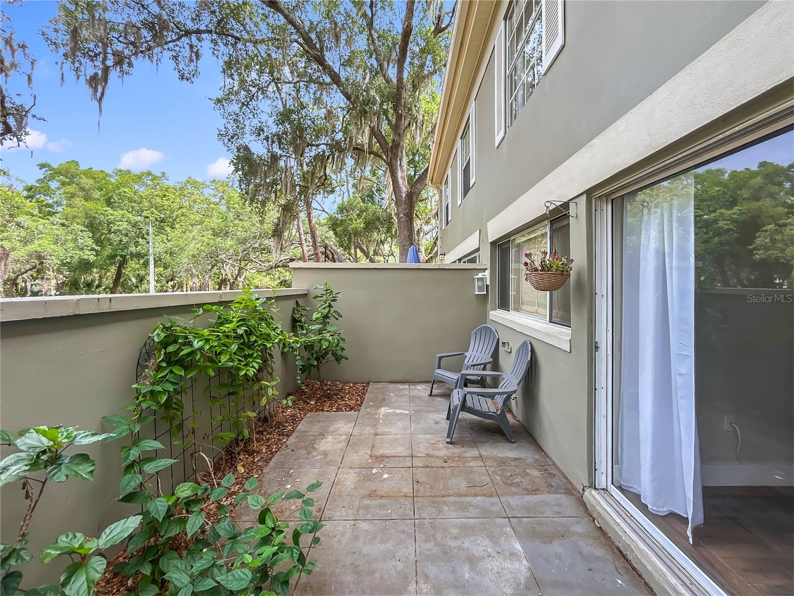 6206 Greenleaf Lane Tampa FL 33617 TB8493234 image16