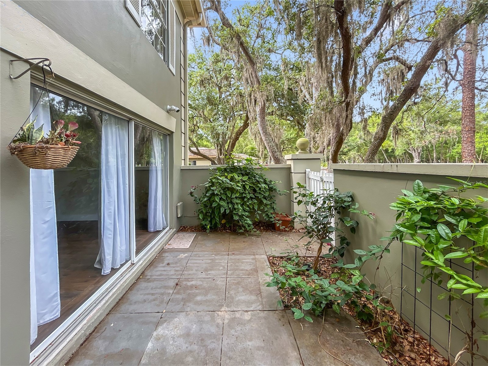6206 Greenleaf Lane Tampa FL 33617 TB8493234 image17