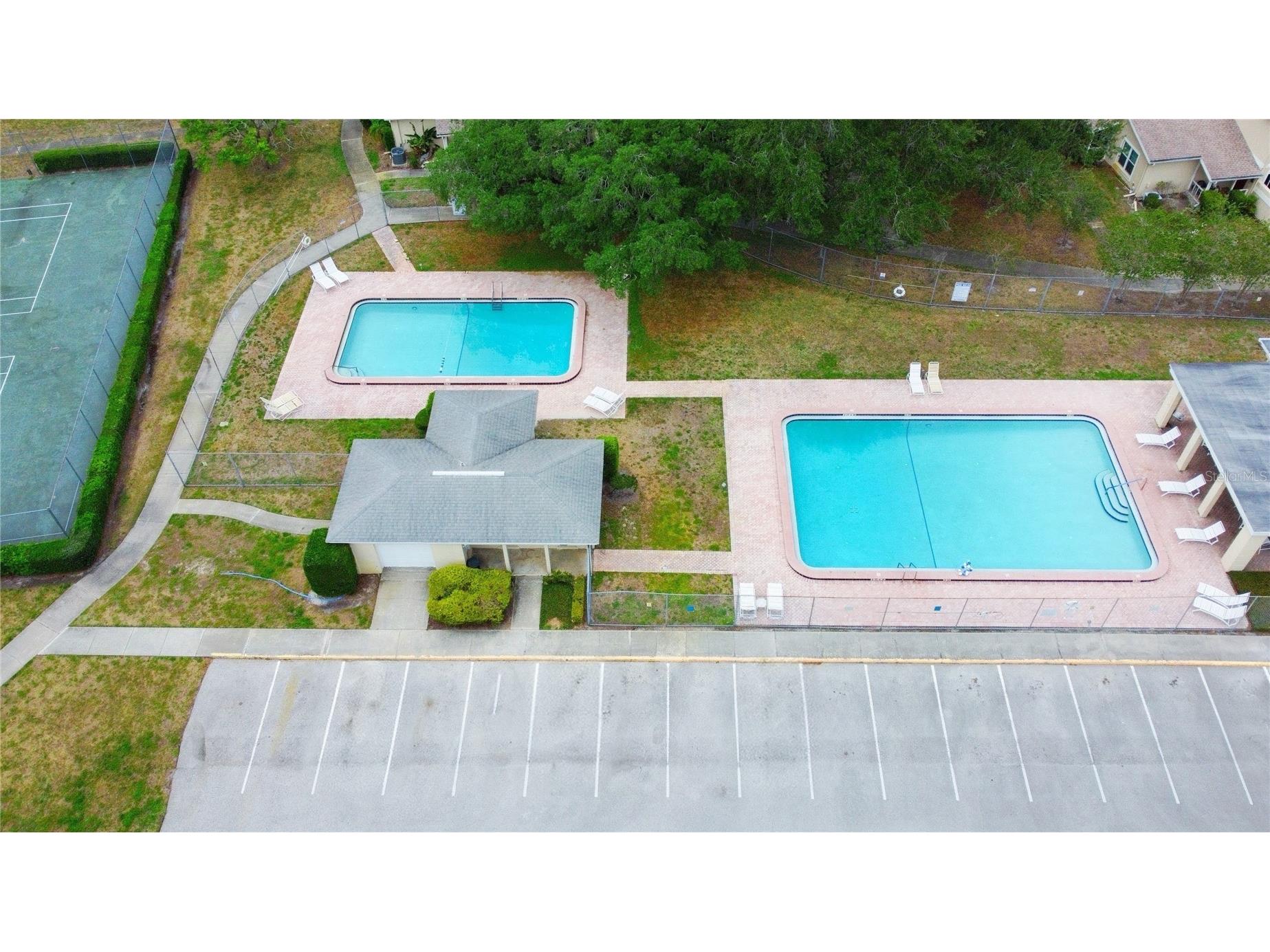 6206 Greenleaf Lane Tampa FL 33617 TB8493234 image21
